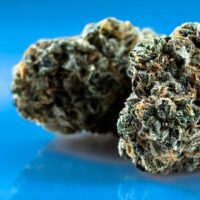 Delaware Senate Approves Cannabis Legalization Bills