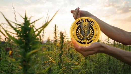Announcing the Highly Anticipated High Times Hemp Cup: People’s Choice Edition 2023