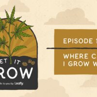 Let It Grow #1: Where can I grow weed?