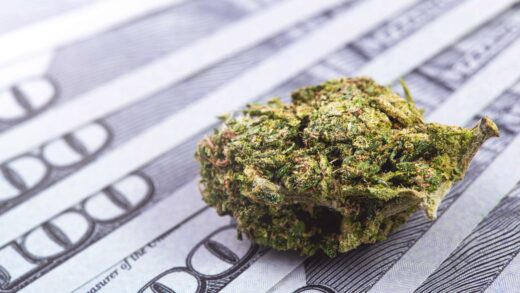 Recent Report Proposes Adult-Use Cannabis Sales Growth up to $50.7B by 2028