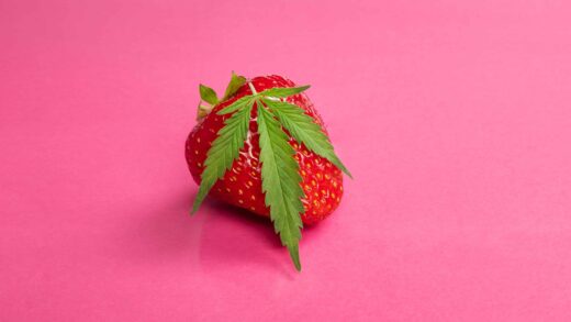 Study Suggests CBD Could Help Preserve Fruit