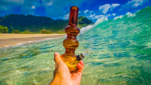 In Hawaii, People Prefer Black Market Cannabis to State-Managed Facilities